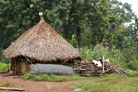 Café d'ETHIOPIE - Kaffa